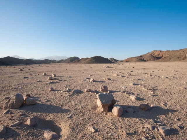 Источник фото: ru.123rf.com