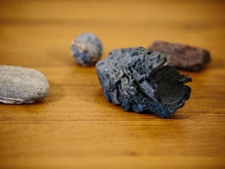 Фото Ольги Мерзляковой