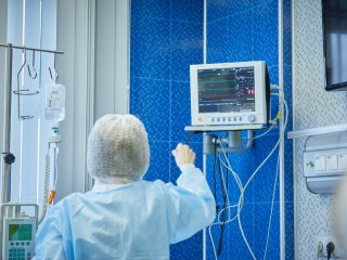 Фото: Елена Либрик / Научная Россия