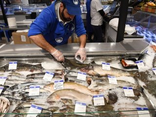 Фото: Илья Питалев / РИА Новости