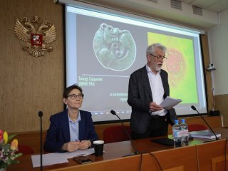 Фото: Елена Либрик / «Научная Россия»