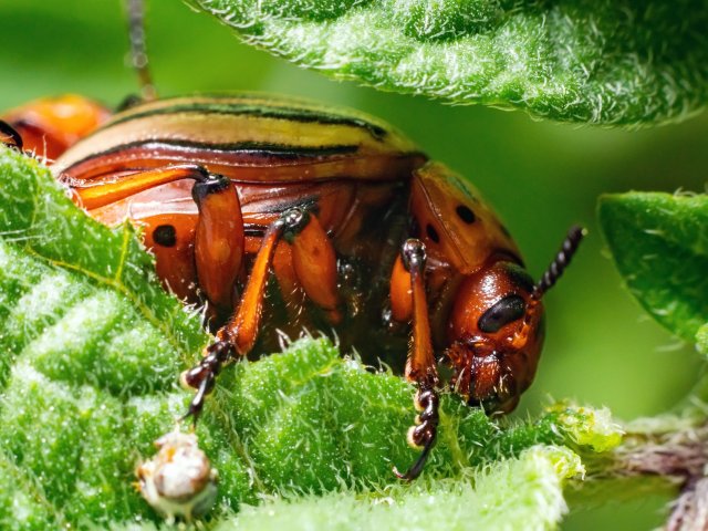 Источник ru.123rf.com