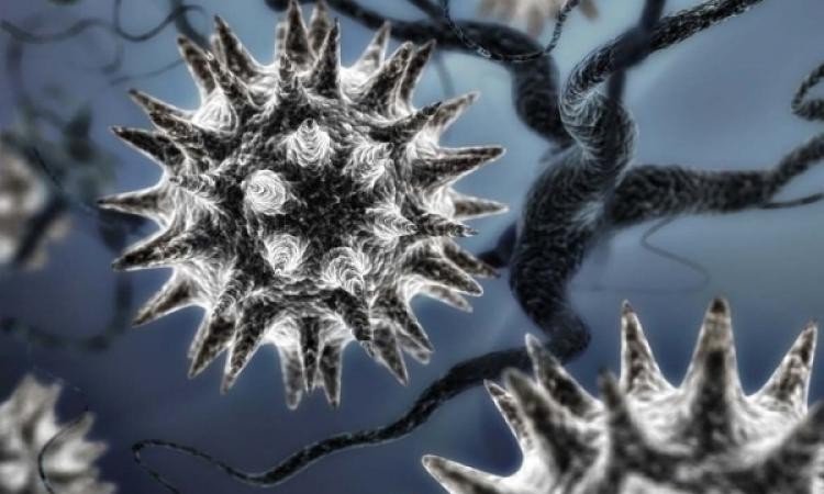 Неизвестный ранее гигантский вирус найден в Сибири