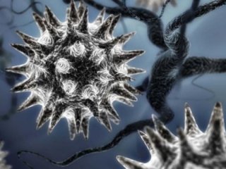 Неизвестный ранее гигантский вирус найден в Сибири