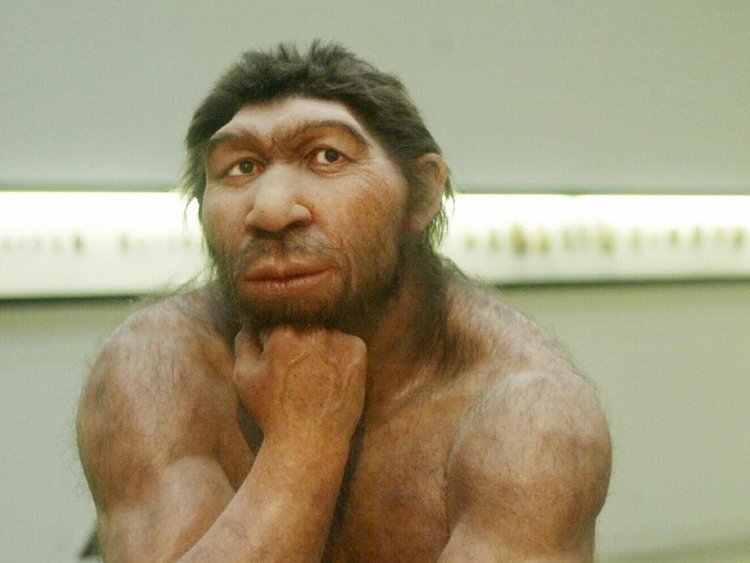 Почему из нашего генома исчезли многие неандертальские гены