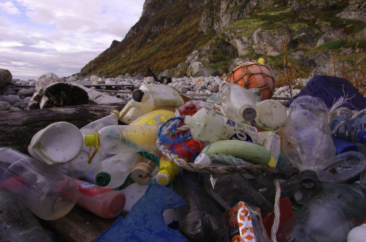 Пластик покрыл целый остров