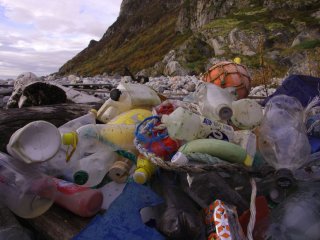Пластик покрыл целый остров