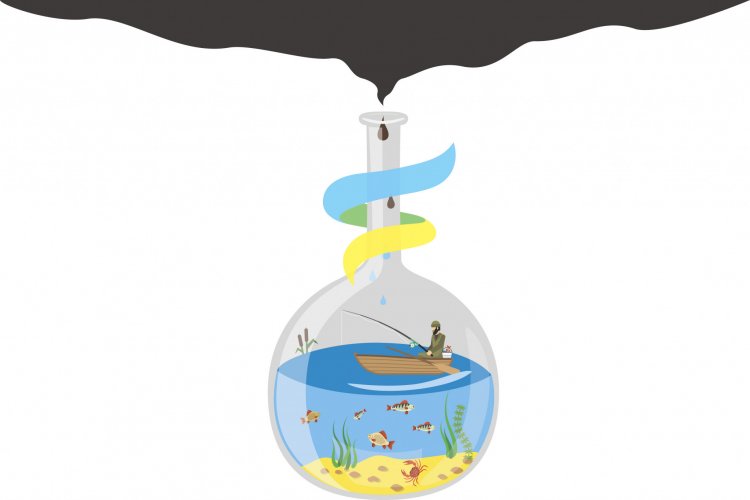 Иллюстрация Анастасии Голышевой