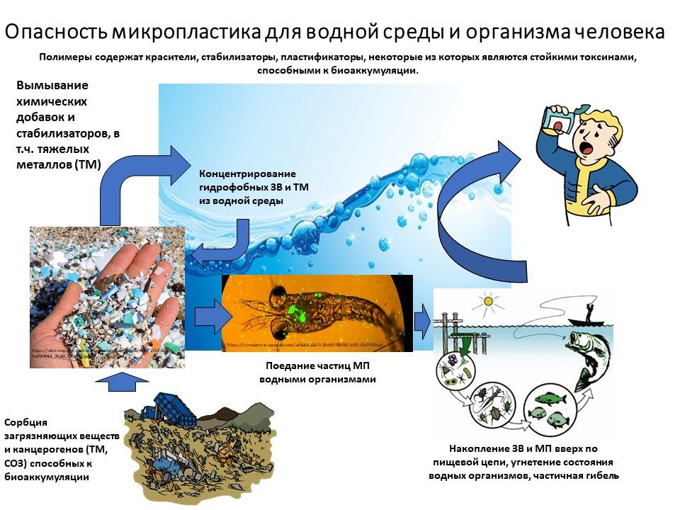 Опасность полимерного мусора презентация