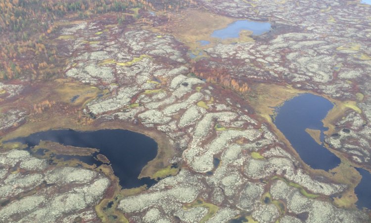 Фото предоставлено Никитой Тананаевым