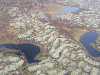Ученые исследовали образование и окисление метана в термокарстовом озере