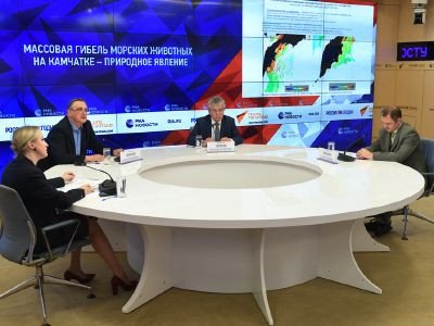 Ситуация на Камчатке: пресс-конференция ученых РАН в МИА "Россия сегодня"
