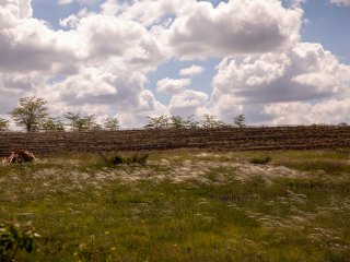 Артезианская вода в трубах Симферополя…