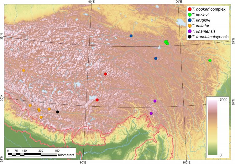 Карта Тибетского плато с точками, где были найдены новые виды моллюсков