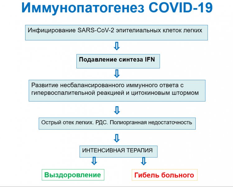 Иммунопатогенез COVID-19. Слайд из презентации А. Симбирцева