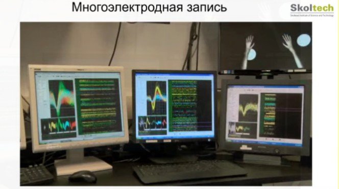 Скриншот из презентации Михаила Лебедева
