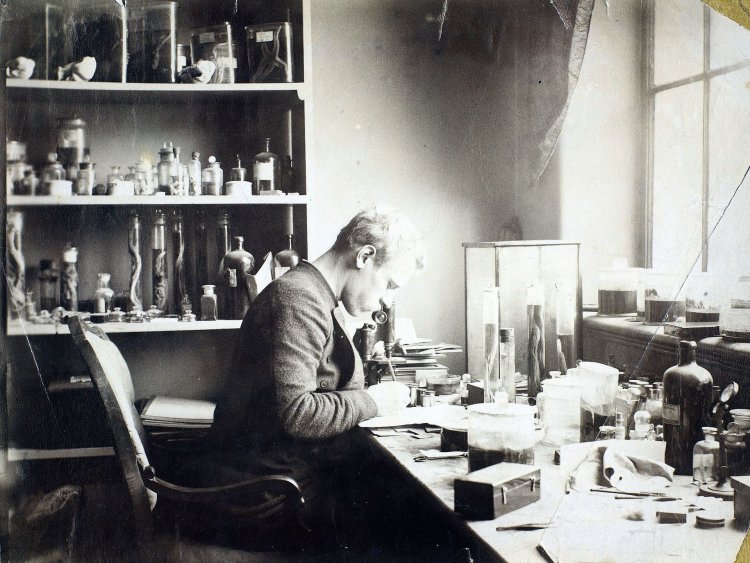 Нансен за работой в лаборатории Бергенского музея. Не ранее 1885 г. 
