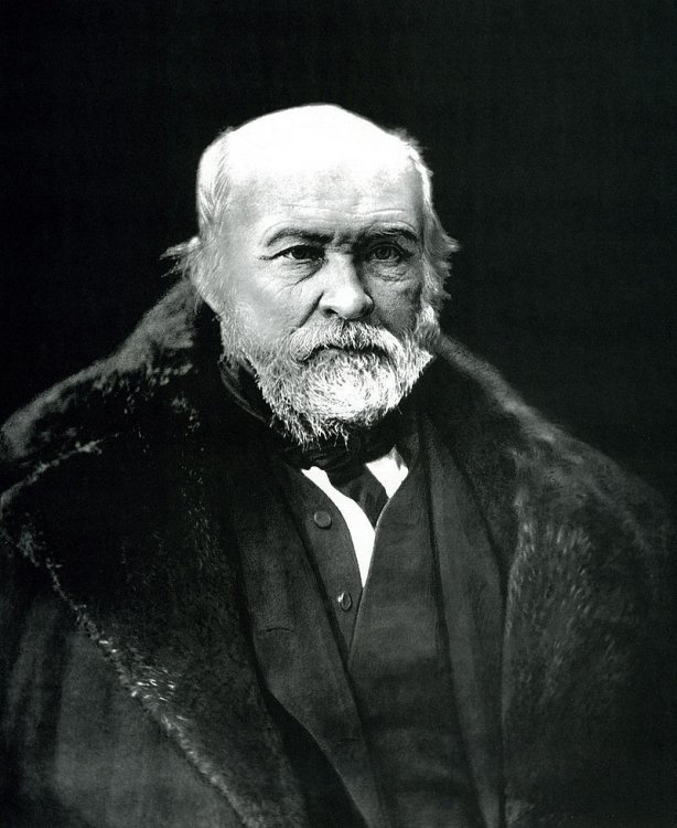 Н.И. Пирогов 1870 г. Источник изображения: Википедия (Общественное достояние) 