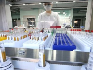 Фото: © ТАСС / Автор: Ирина Мельникова