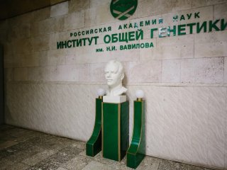 Фото Ольги Мерзляковой