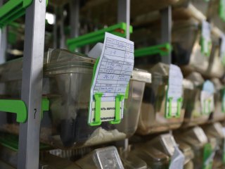 Новый виварий заработал в МГУ на базе Научно-исследовательского института физико-химической биологии им. А.Н. Белозерского. Фото: Елена Либрик / «Научная Россия»