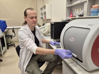 Новый метод оценки эффективности онкотерапии разработали ученые из ИМКБ СО РАН и НГУ. Фото: Сергей Кулемзин, Татьяна Беловежец / НГУ 