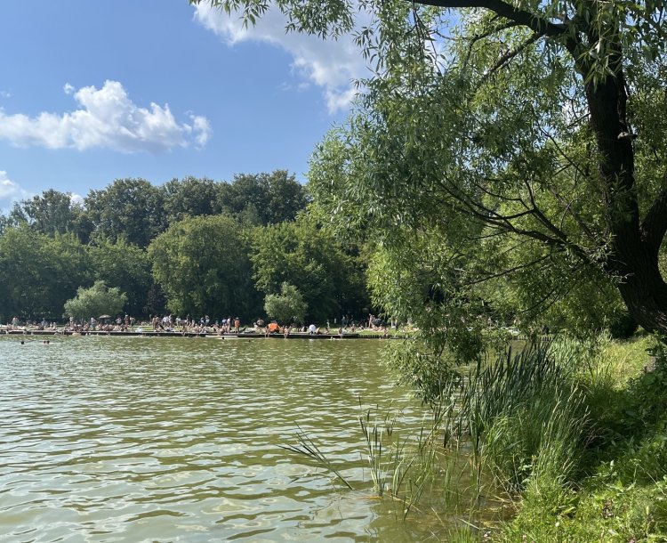 Источник фото: пресс-служба Института физиологии растений имени К.А. Тимирязева РАН