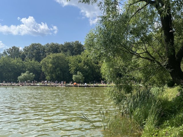 Источник фото: пресс-служба Института физиологии растений имени К.А. Тимирязева РАН