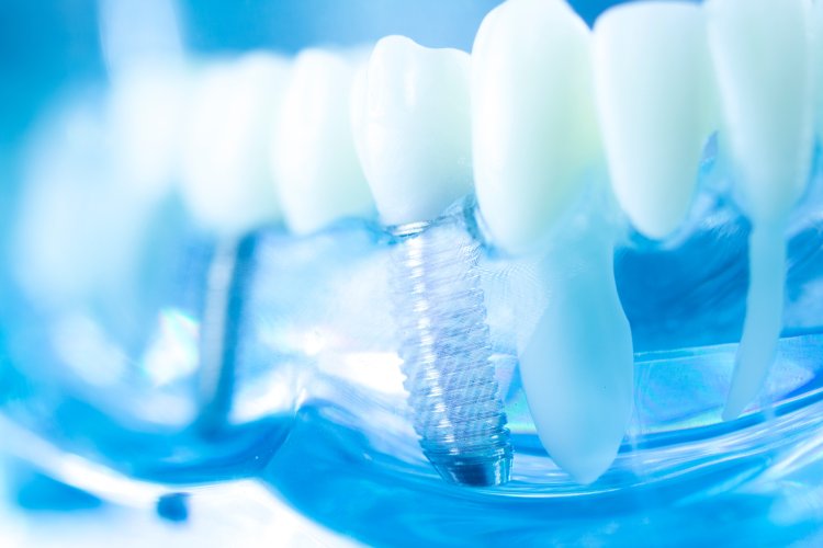 Источник фото: ru.123rf.com