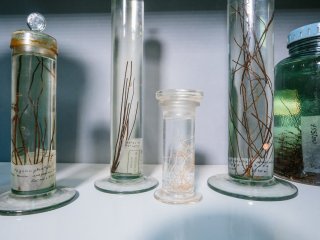 Обитатели океанских глубин. Фото: Ольга Мерзлякова / «Научная Россия»