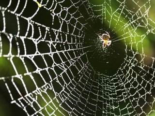 Источник фото: ru.123rf.com