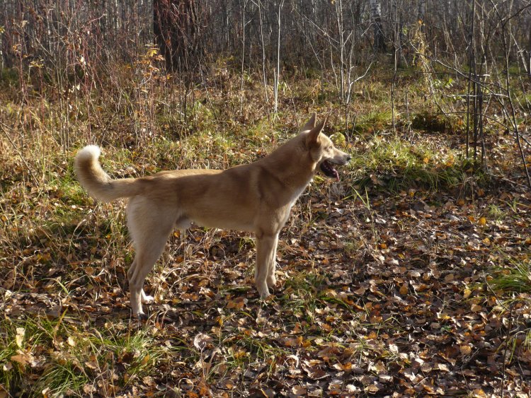 ������&nbsp; ����������� ������������ ����������� � ������� ����� �� ��������� ������