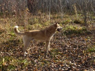 Фото Ольги Ивановой