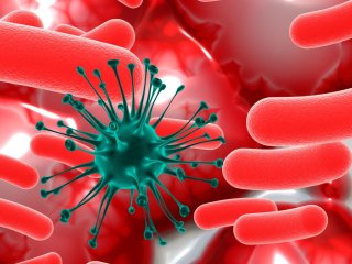 Изображение: Фотобанк Freepik