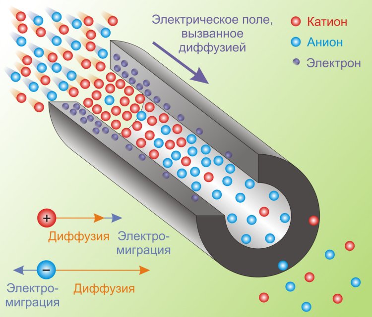 Нанопора мембраны, которая разделяет водные растворы с различными концентрациями соли.