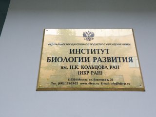 Фото: Ольга Мерзлякова / «Научная Россия»