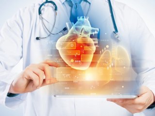Вдохновленная мозжечком нейросеть помогает эффективнее анализировать МРТ-снимки левого предсердия. Источник изображения: nexusplexus / фотобанк 123RF