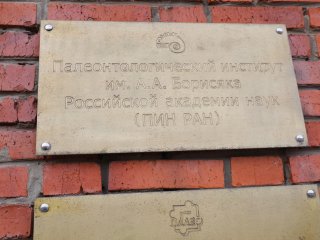 Фото: Николай Малахин / «Научная Россия»