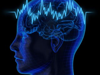 Российские ученые раскрыли секрет защиты мозга от последствий эпилептического припадка
