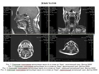 Фото предоставлены исследователями