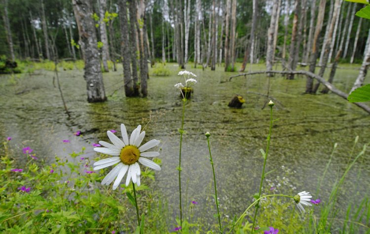 © Михаил Мордасов/ ТАСС