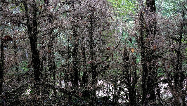 �������������&nbsp; ���� ��� ��������� ������������� ����� ���������