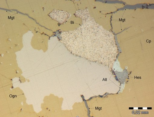 Огнитит (Ogn) в срастании с самородным висмутом (Bi), алтаитом (Alt) и гесситом (Hes). Основная матрица — халькопирит (Cp)/Пресс-служба СФУ