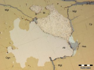 Огнитит (Ogn) в срастании с самородным висмутом (Bi), алтаитом (Alt) и гесситом (Hes). Основная матрица — халькопирит (Cp)/Пресс-служба СФУ
