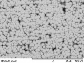 Фото исследователей центра «Красноярский научный центр СО РАН»