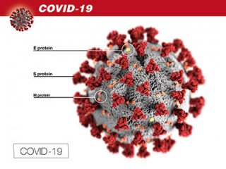 Гипотеза: лекарства для лечения гипертонии могут привести к тяжелой форме COVID-19