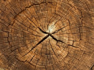 Искусственная древесина