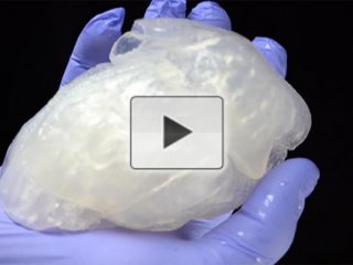 Биоинженеры напечатали на 3D-принтере реалистичную модель сердца