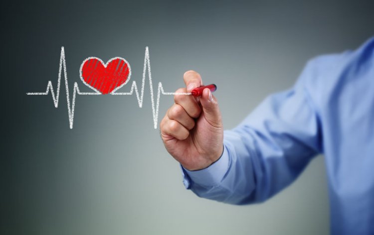 Исследователи детально отображают восстановление сердца после сердечного приступа