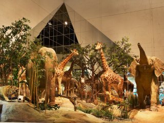 Майские в Дарвиновском музее